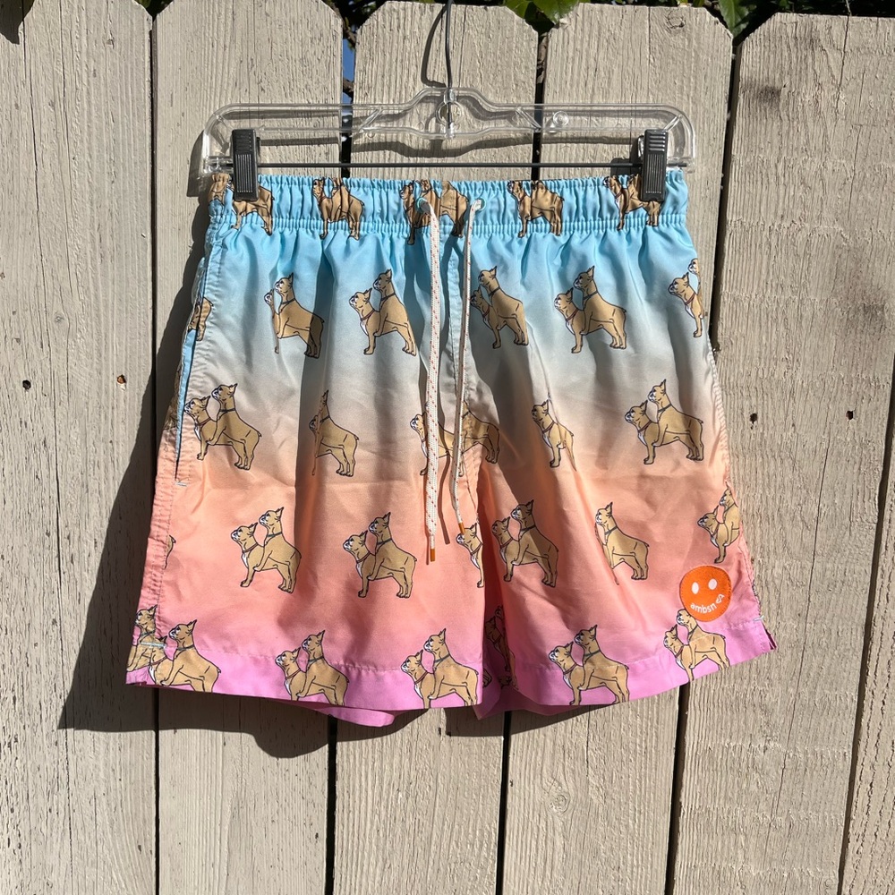 Gradient Bulldog Print Men's Shorts